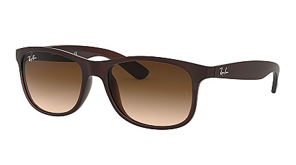 Ray-Ban Andy RB 4202 607313