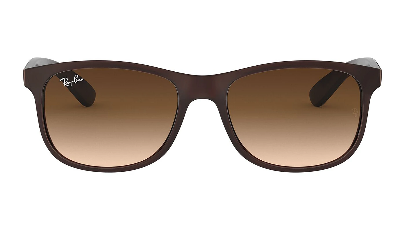 Солнцезащитные очки Ray-Ban Andy RB 4202 607313 фото 2