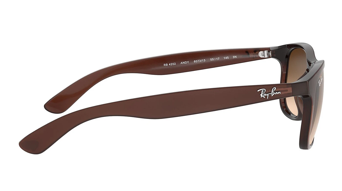 Солнцезащитные очки Ray-Ban Andy RB 4202 607313 фото 3