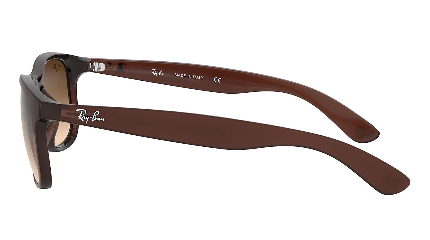 Солнцезащитные очки Ray-Ban Andy RB 4202 607313 фото 4