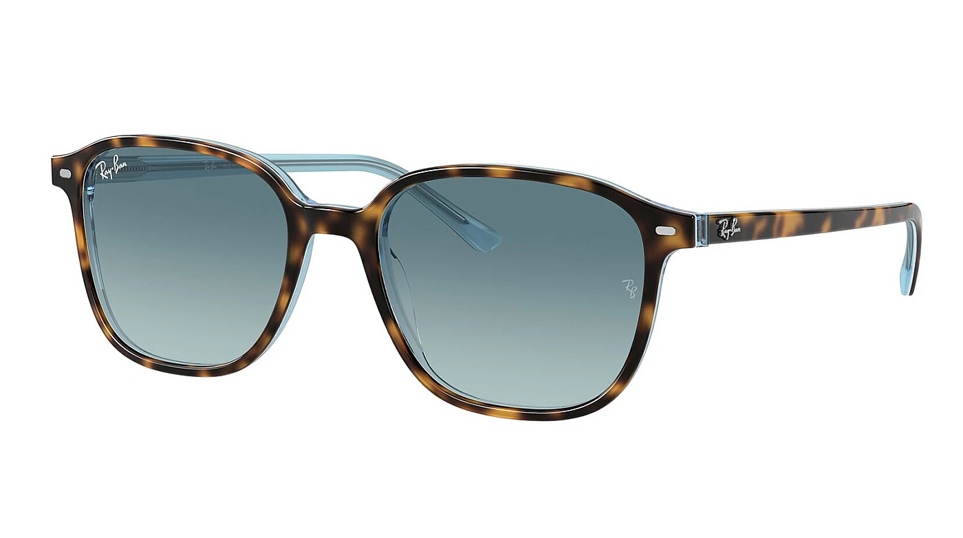 Мужские солнцезащитные очки Ray-Ban Leonard RB 2193 13163M фото 1