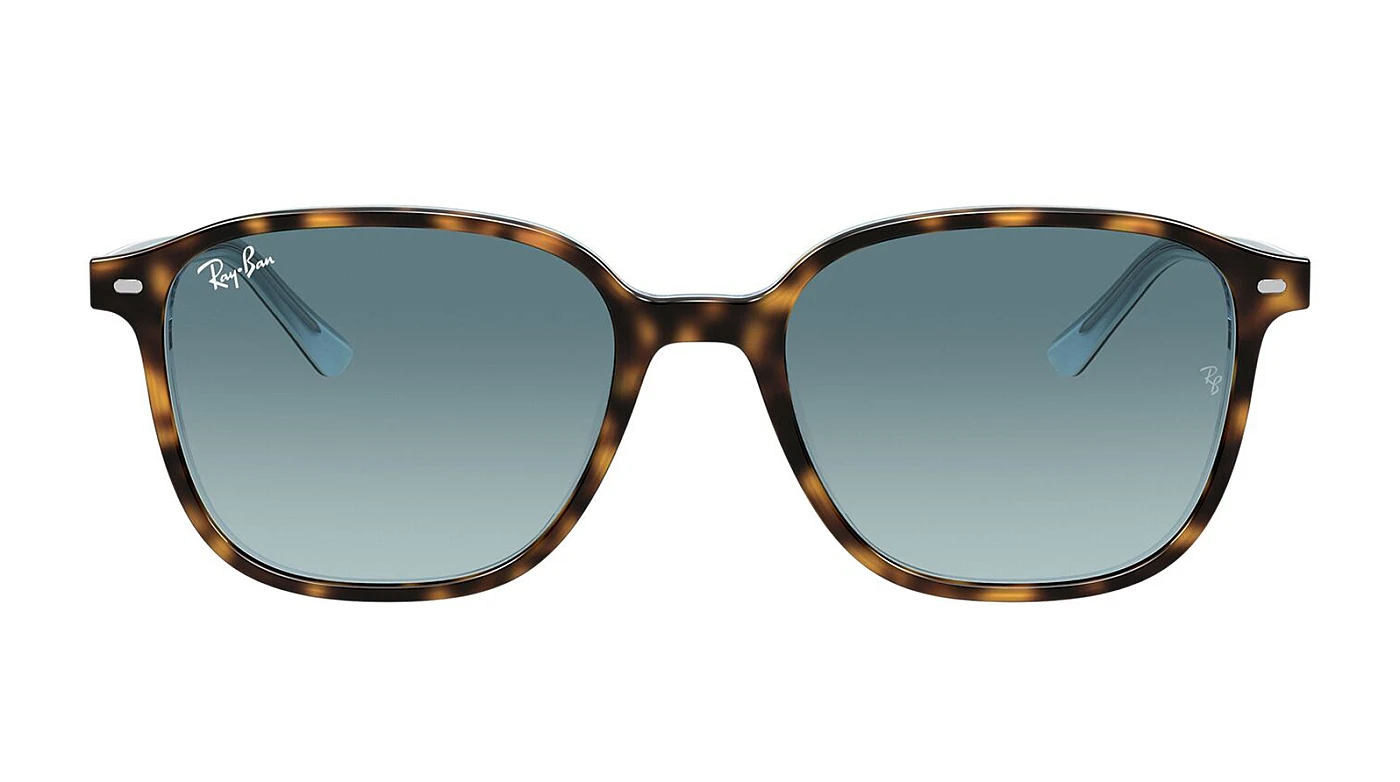 Мужские солнцезащитные очки Ray-Ban Leonard RB 2193 13163M фото 2