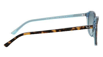 Ray-Ban Leonard RB 2193 13163M