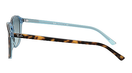Ray-Ban Leonard RB 2193 13163M