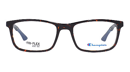 Champion Cutroika C02