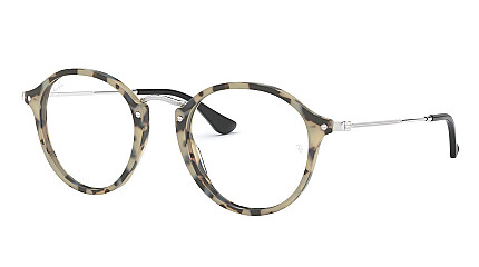 Ray-Ban Round Fleck RX 2447V 5832