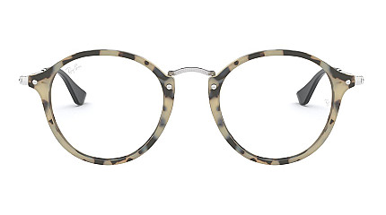 Ray-Ban Round Fleck RX 2447V 5832