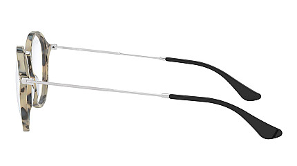Ray-Ban Round Fleck RX 2447V 5832