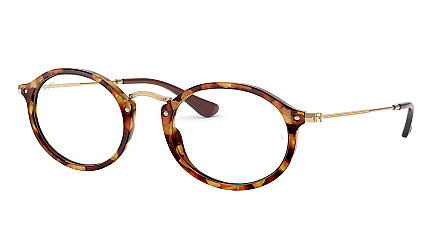 Ray-Ban Icons RX 2547V 5494