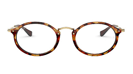 Ray-Ban Icons RX 2547V 5494
