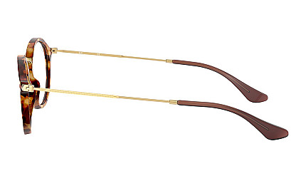 Ray-Ban Icons RX 2547V 5494