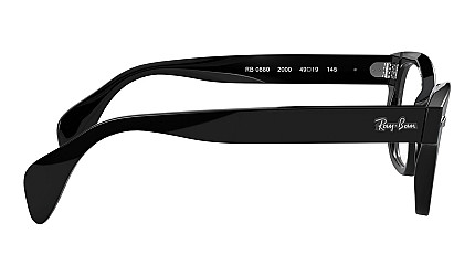 Ray-Ban Icons RX 0880 2000