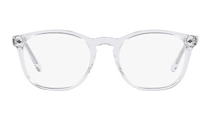 Giorgio Armani 7074 5893