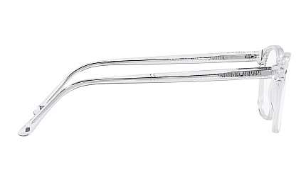 Giorgio Armani 7074 5893
