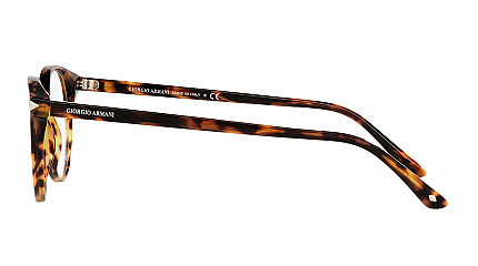 Giorgio Armani 7176 5011