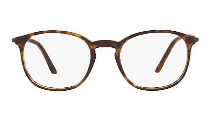Giorgio Armani 7213 5026