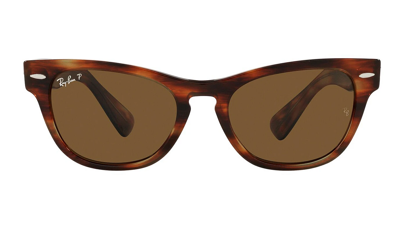 Солнцезащитные очки Ray-Ban Laramie RB 2201 954/57 фото 2