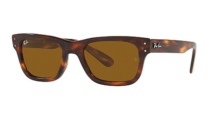 Ray-Ban Mr Burbank RB 2283 954/33