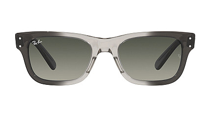 Ray-Ban Mr Burbank RB 2283 134071