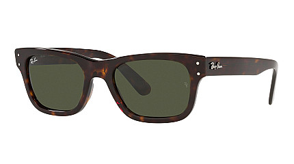 Ray-Ban Mr Burbank RB 2283 902/31