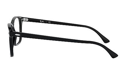 Ray-Ban Icons RX 7119 2000