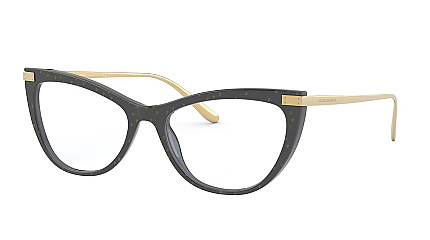 Dolce&Gabbana 3329 3210