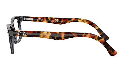 Ray-Ban Highstreet RX 5228 5629