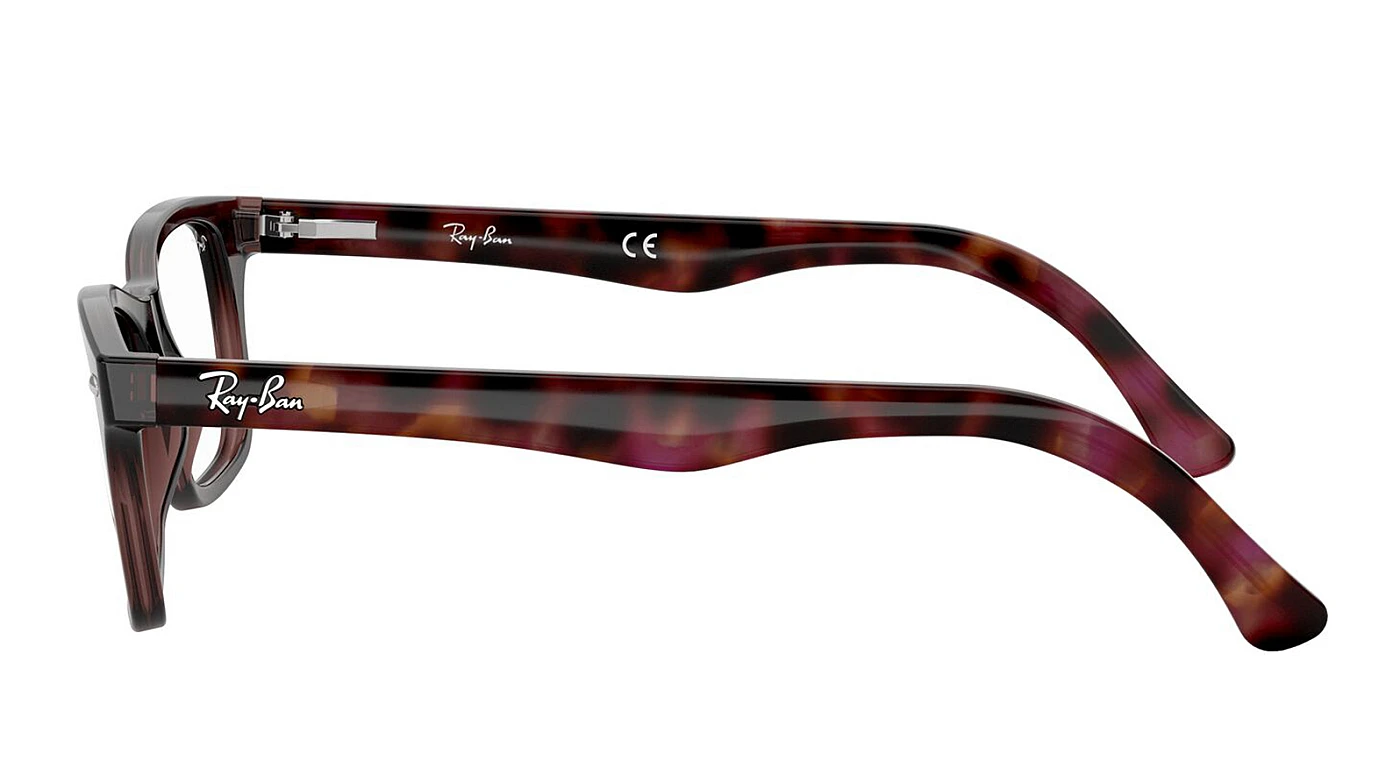 Оправа Ray-Ban Highstreet RX 5228 5628 фото 4
