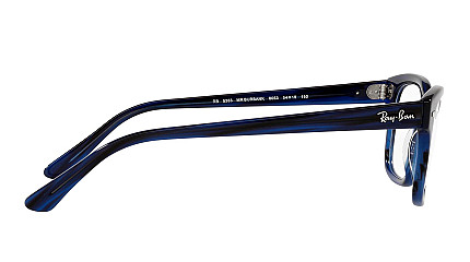 Ray-Ban Mr Burbank RX 5383 8053