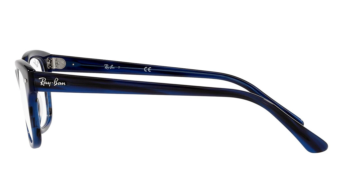 Оправа Ray-Ban Mr Burbank RX 5383 8053 фото 4