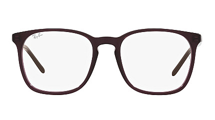 Ray-Ban Highstreet RX 5387 8139