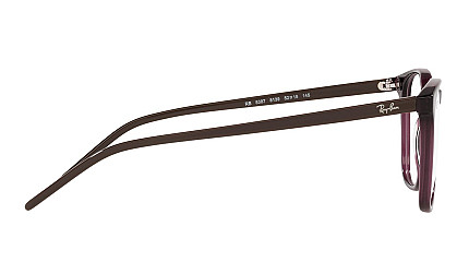 Ray-Ban Highstreet RX 5387 8139