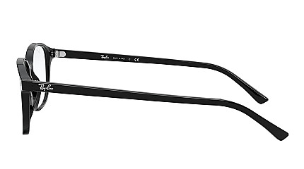 Ray-Ban Leonard RX 5393 2000