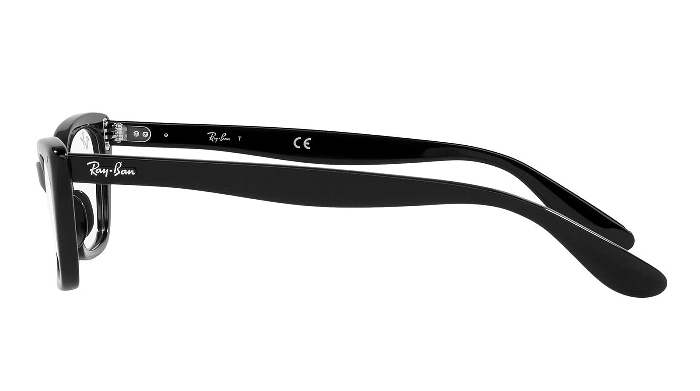 Оправа Ray-Ban Lady Burbank RX 5499 2000 фото 4