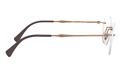 Ray-Ban RX 8754 1131