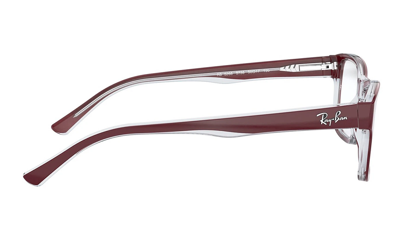 Оправа Ray-Ban Youngster RX 5268 5738 фото 3