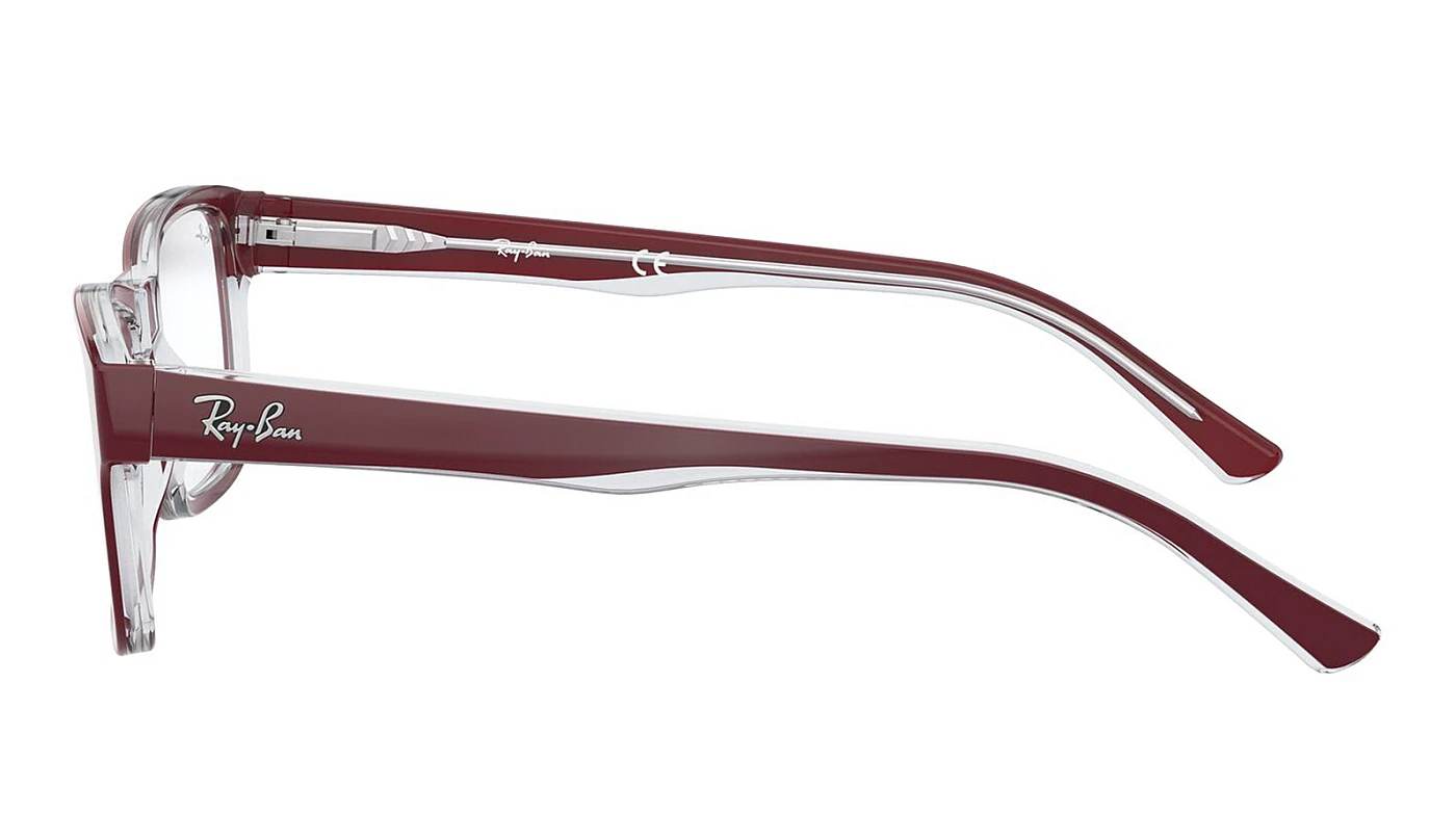 Оправа Ray-Ban Youngster RX 5268 5738 фото 4