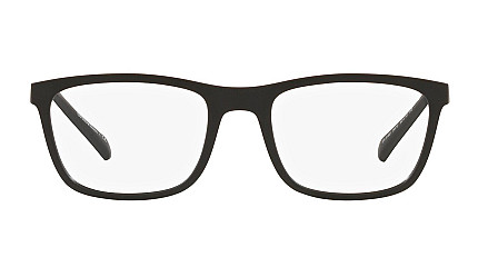 Emporio Armani 3165 5870