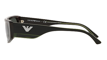 Emporio Armani 4168 587971