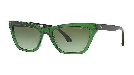 Emporio Armani 4169 58848E