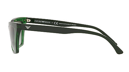 Emporio Armani 4169 58848E