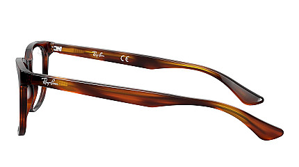 Ray-Ban Icons RX 5369 2144