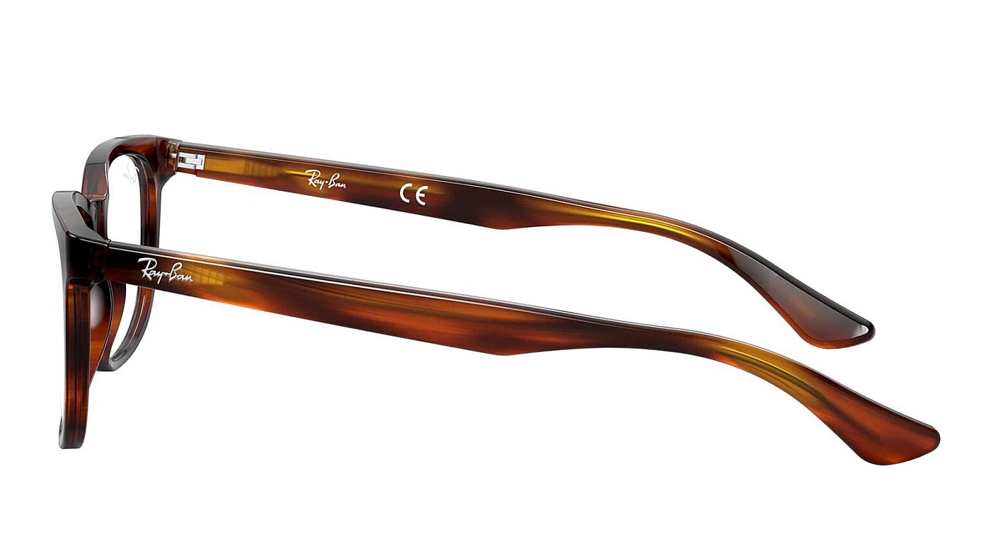 Оправа для очков Ray-Ban Icons RX 5369 2144 фото 4