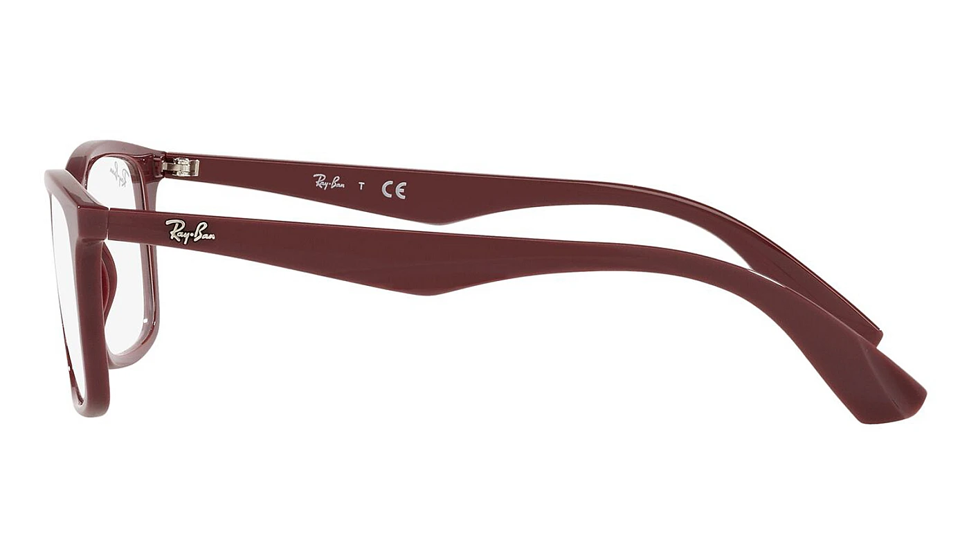 Оправа Ray-Ban Active Lifestyle RX 7047 8099 фото 4