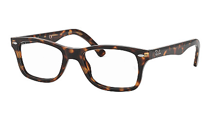 Ray-Ban Highstreet RX 5228 2012
