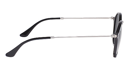 Ray-Ban Round Icons RB 2447 901/58