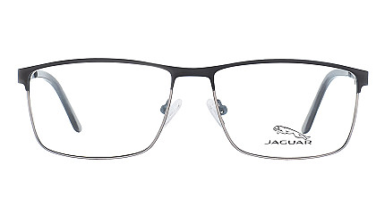 Jaguar 33089 1095