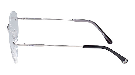 Jaguar 33838 1000