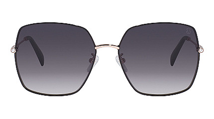 Tous 423S 301