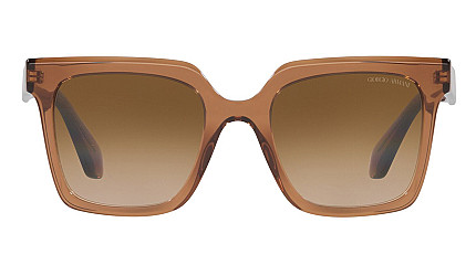 Giorgio Armani 8156 593251